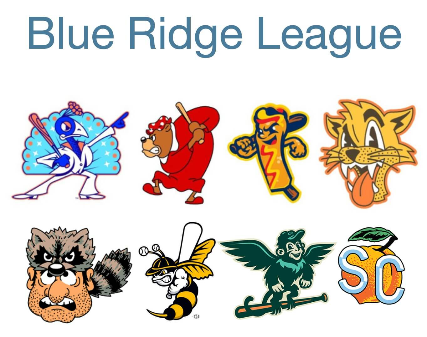 Collage of eight Blue Ridge League team logos, including the Disco Turkeys, Wampus Cats, Corndogs, Hornets, Pioneers, Flying Monkeys, and the Spartanburg County Peaches.